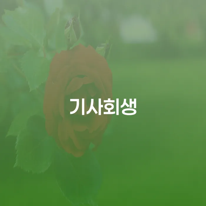 개인부채 개인회생으로 현명하게 견적체크