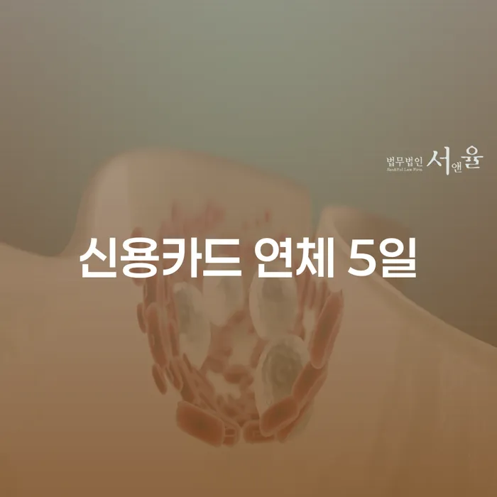 카드론연체 빚독촉 신청절차에