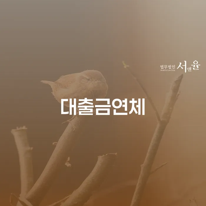 부채탕감 채무조정제도을 이용하여 신청절차에