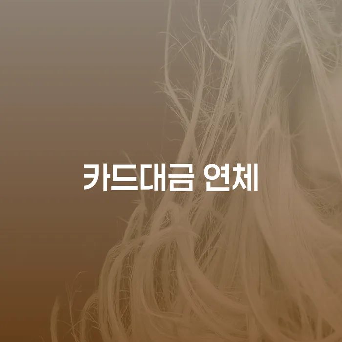 통영시 과대출자추가대출 연체 시 개인회생으로 방법 과정을