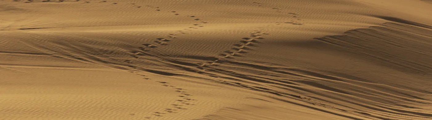 법무법인 서앤율