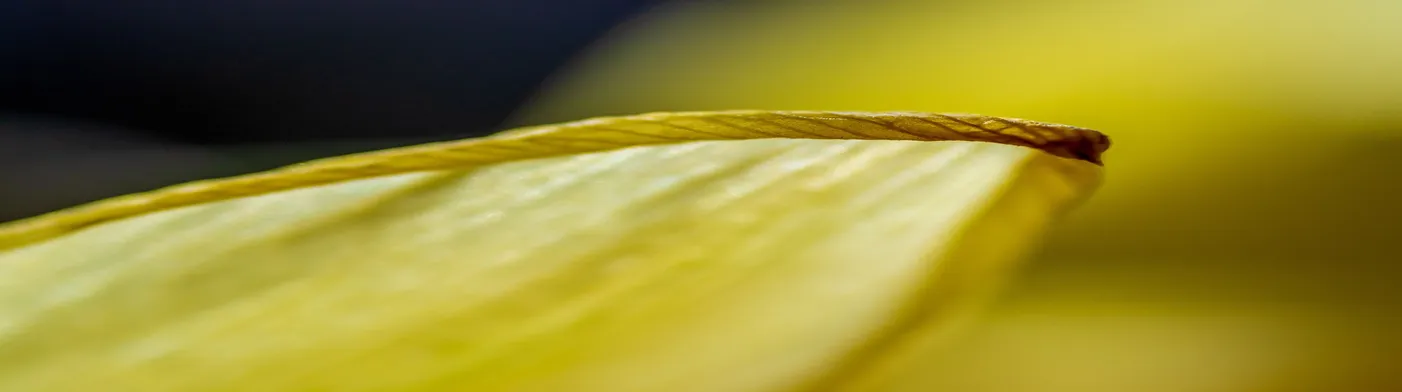 법무법인 서앤율