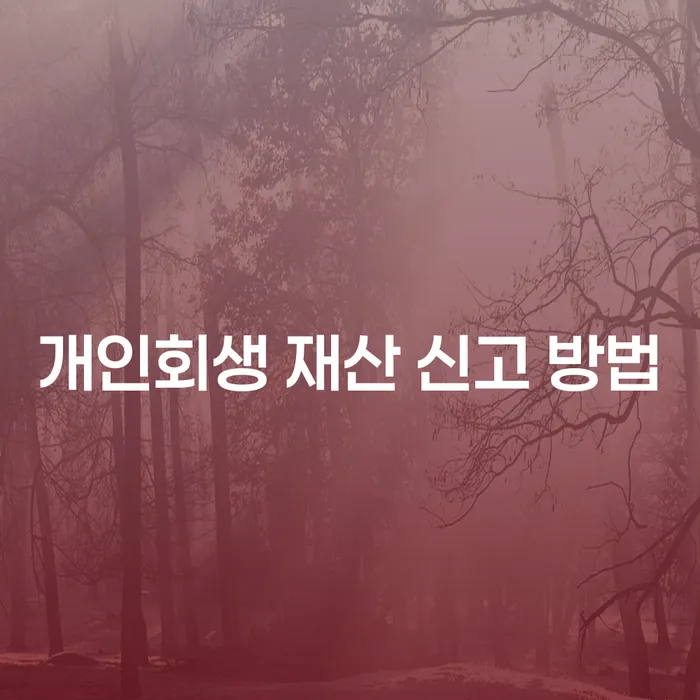 개인회생 재산 신고 방법을 제대로 알고 계신가요?