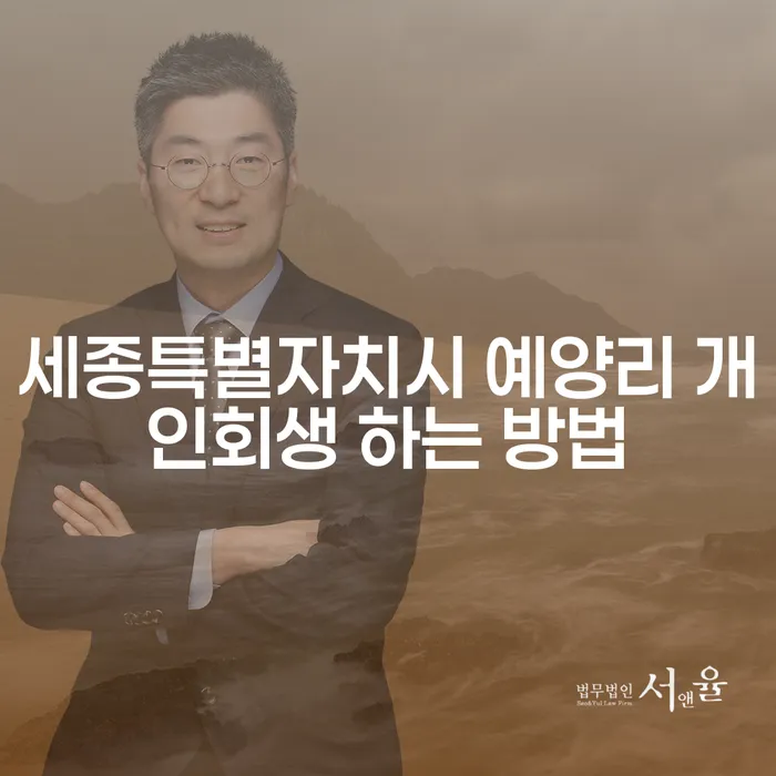 세종특별자치시 예양리 개인회생, 어떻게 시작할까?